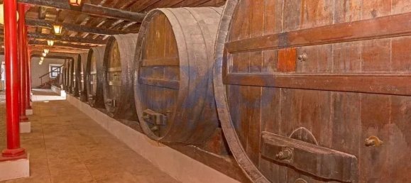 20 Schlafzimmer Schlösser in Nazare, Portugal, Nr. 200149 45