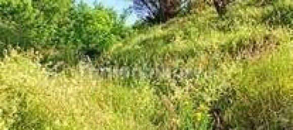 Дом с 5 спальнями в Корелья Антельминелли, Италия № 139150 9