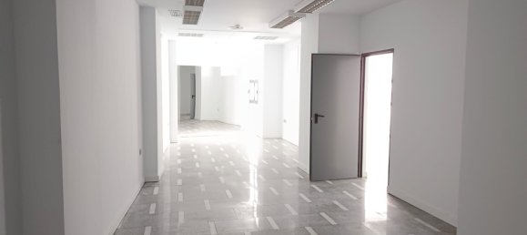 Gewerbliche Immobilie in Merida, Spain 230m², Nr. 168969 6