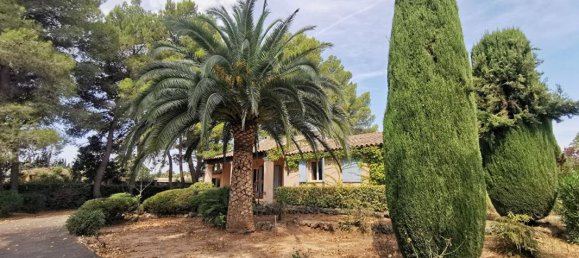 9 bedrooms Villa in Le Muy, France No. 303922 4