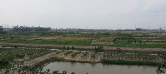 5 bedrooms Villa in Tay Ho, Vietnam No. 4108 10