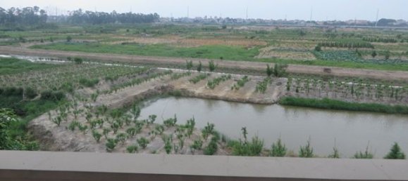 5 bedrooms Villa in Tay Ho, Vietnam No. 4108 13