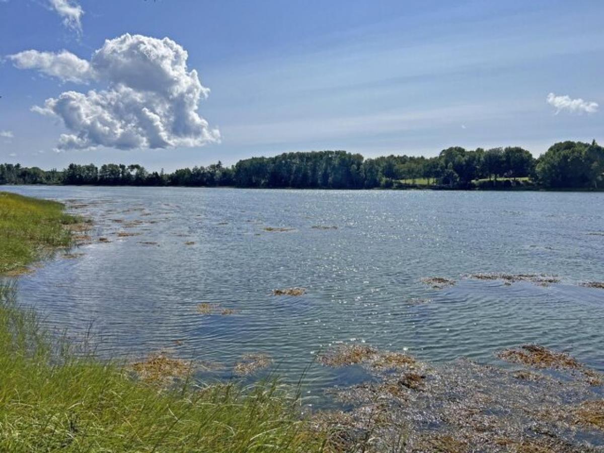  Land in Lamoine, USA No. 498915