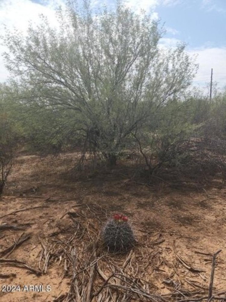 3 bedrooms House in Marana, USA No. 399539