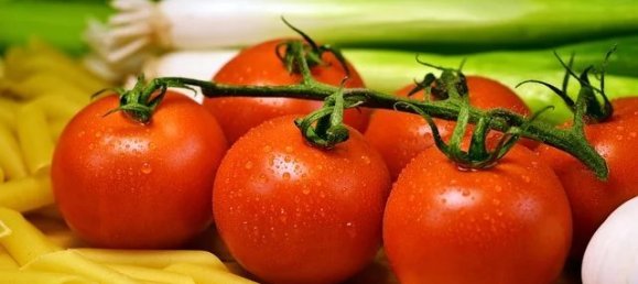 Gewerbliche Immobilie in Tours, France 300m², Nr. 93009 23