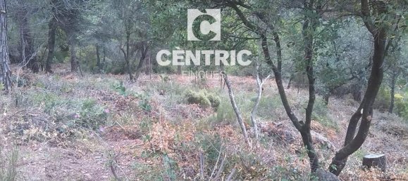 Grundstück in Vacarisses, Spain, Nr. 80189 6