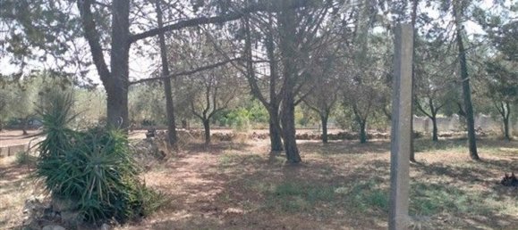 Apartamento de 8 habitaciónes en Sassari, Italy No. 49147 8