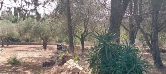 Apartamento de 8 habitaciónes en Sassari, Italy No. 49147 7