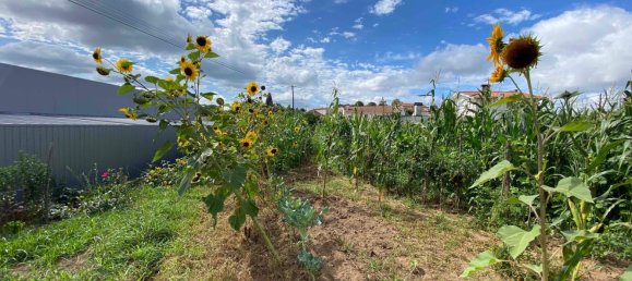 Terreno em Oliveira de Azeméis, Portugal N.º 189919 18