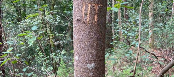 Terreno em Oliveira de Azeméis, Portugal N.º 189919 24