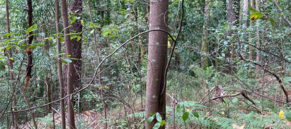 Terreno em Oliveira de Azeméis, Portugal N.º 189919 23