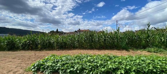 Terreno em Oliveira de Azeméis, Portugal N.º 189919 17