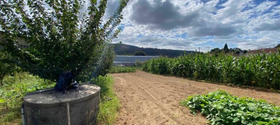 Terreno em Oliveira de Azeméis, Portugal N.º 189919 16