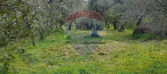 4 Schlafzimmer Haus in Città Sant'Angelo, Italy, Nr. 352660 43