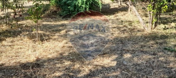 4 Schlafzimmer Haus in Città Sant'Angelo, Italy, Nr. 352660 45