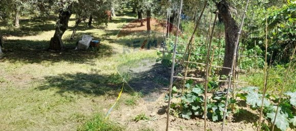 4 Schlafzimmer Haus in Città Sant'Angelo, Italy, Nr. 352660 46