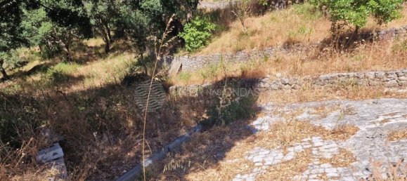 Grundstück in Vila Franca de Xira, Portugal 50440m², Nr. 273965 39