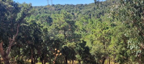 Grundstück in Vila Franca de Xira, Portugal 50440m², Nr. 273965 41