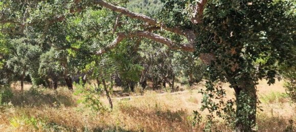 Grundstück in Vila Franca de Xira, Portugal 50440m², Nr. 273965 44