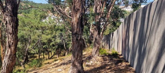 Grundstück in Vila Franca de Xira, Portugal 50440m², Nr. 273965 43