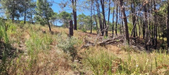 Grundstück in Vila Franca de Xira, Portugal 50440m², Nr. 273965 37