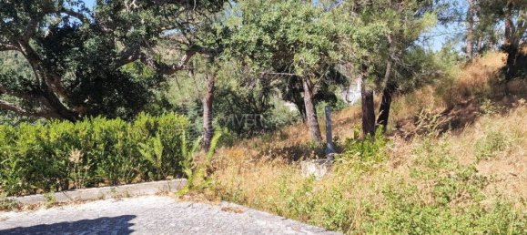 Grundstück in Vila Franca de Xira, Portugal 50440m², Nr. 273965 31