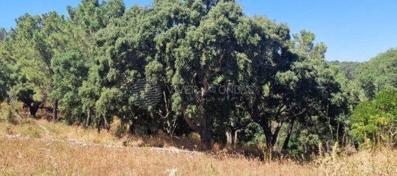 Grundstück in Vila Franca de Xira, Portugal 50440m², Nr. 273965 45