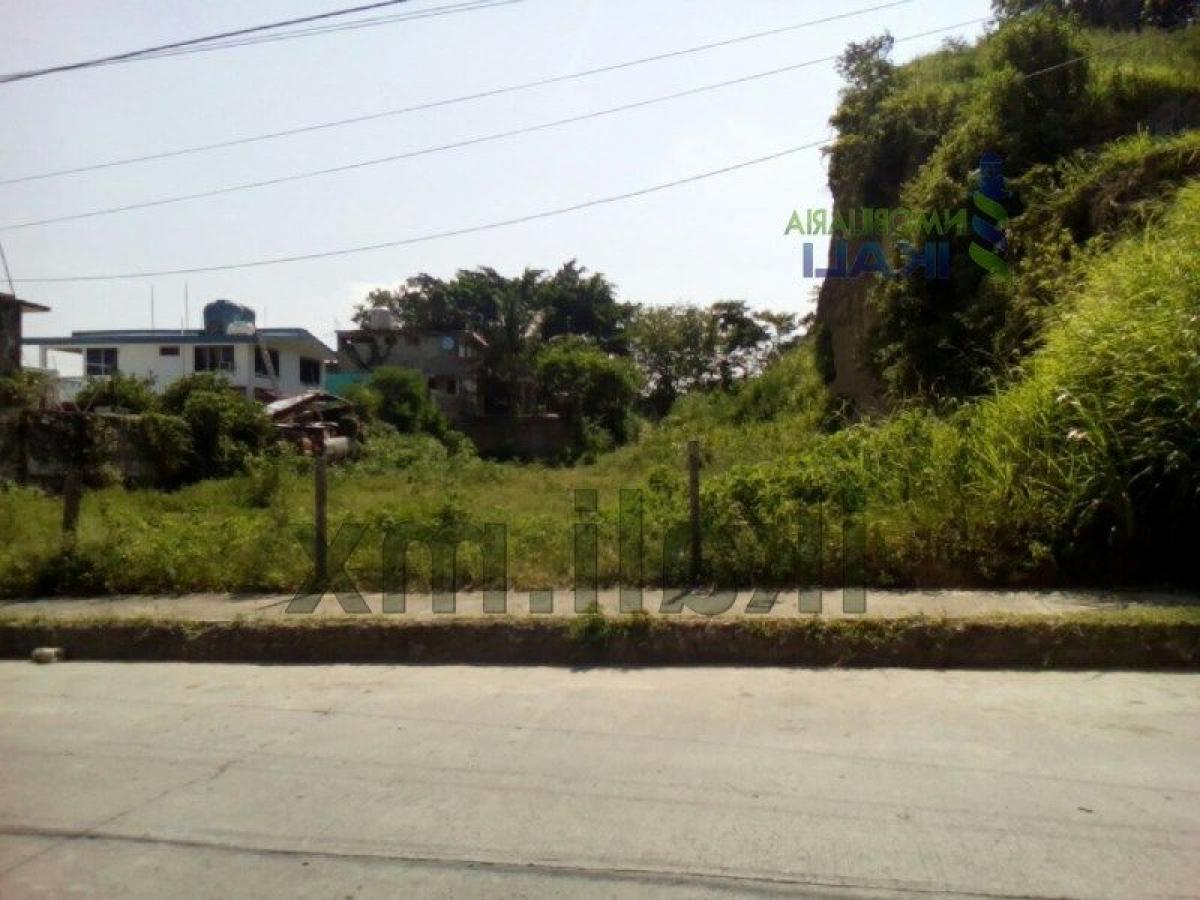 Земельный участок в Веракрус, Мексика № 205649