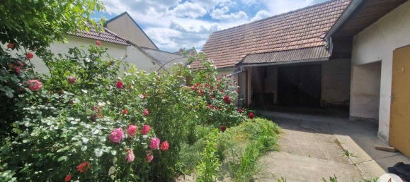 3 rooms House in Haugsdorf, Austria No. 176572 2