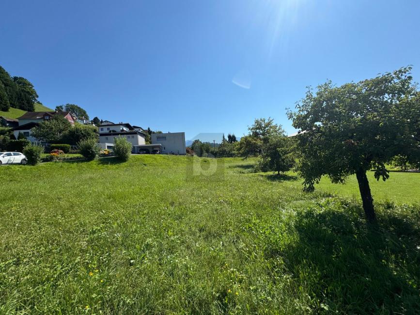 Terrain à Zwischenwasser, Austria No. 229533