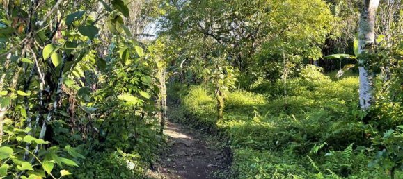 Terreno en Lovina, Indonesia 9400 m² No. 4546 9