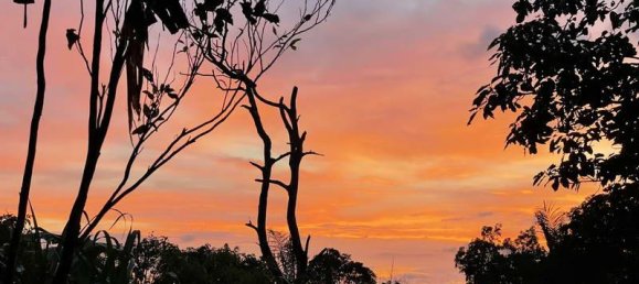 Terreno en Lovina, Indonesia 9400 m² No. 4546 12