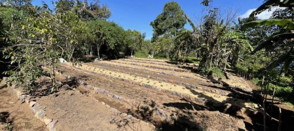 Terreno en Lovina, Indonesia 9400 m² No. 4546 16