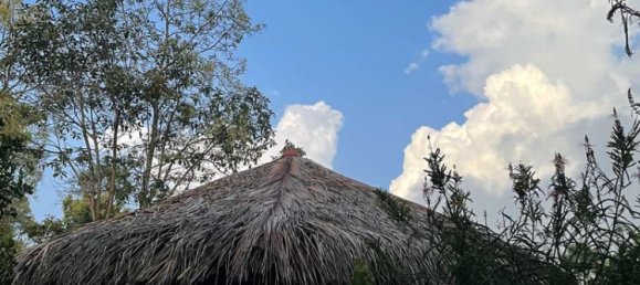 Terreno en Lovina, Indonesia 9400 m² No. 4546 17