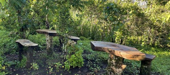 Terreno en Lovina, Indonesia 9400 m² No. 4546 8