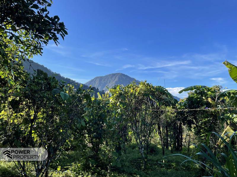 Terreno en Lovina, Indonesia 9400 m² No. 4546