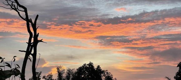 Terreno en Lovina, Indonesia 9400 m² No. 4546 13