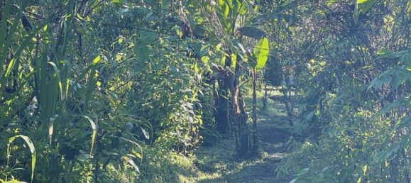 Terreno en Lovina, Indonesia 9400 m² No. 4546 6