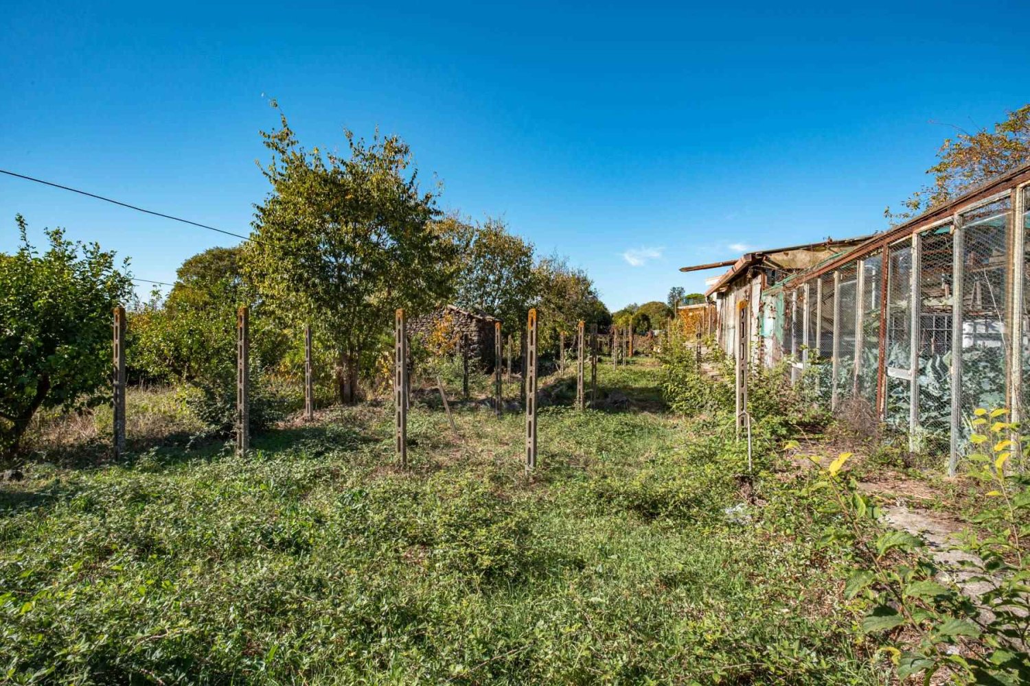 814m² Land in Aci Bonaccorsi, Italy No. 153694