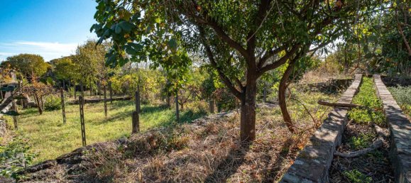 814m² Land in Aci Bonaccorsi, Italy No. 153694 6