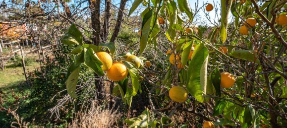 814m² Land in Aci Bonaccorsi, Italy No. 153694 7