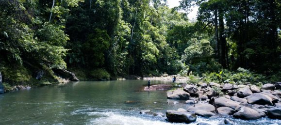 Ферма в Упала, Коста-Рика № 1967 5