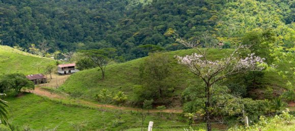 Ферма в Упала, Коста-Рика № 1967 12