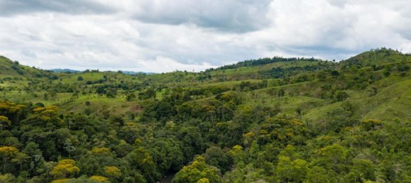 Ферма в Упала, Коста-Рика № 1967 3