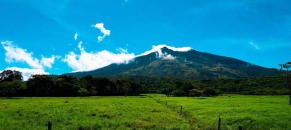 Ферма в Упала, Коста-Рика № 1967 2