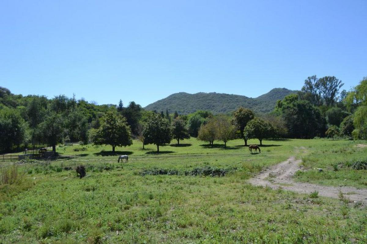 Land in Cordoba, Argentina No. 31954