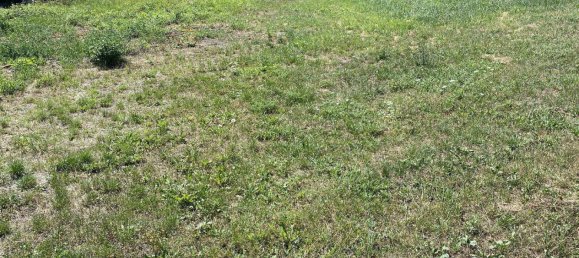 Terreno em Oberdorf im Burgenland, Austria N.º 6695 4