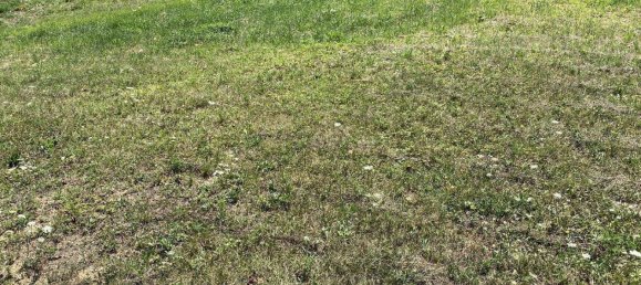 Terreno em Oberdorf im Burgenland, Austria N.º 6695 3