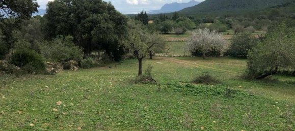  Villa in Pollenca, Spain No. 14171 5