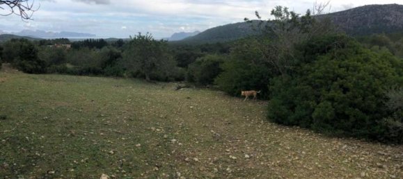  Villa in Pollenca, Spain No. 14171 8